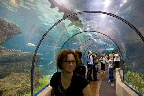 barcelona-aquarium.jpg